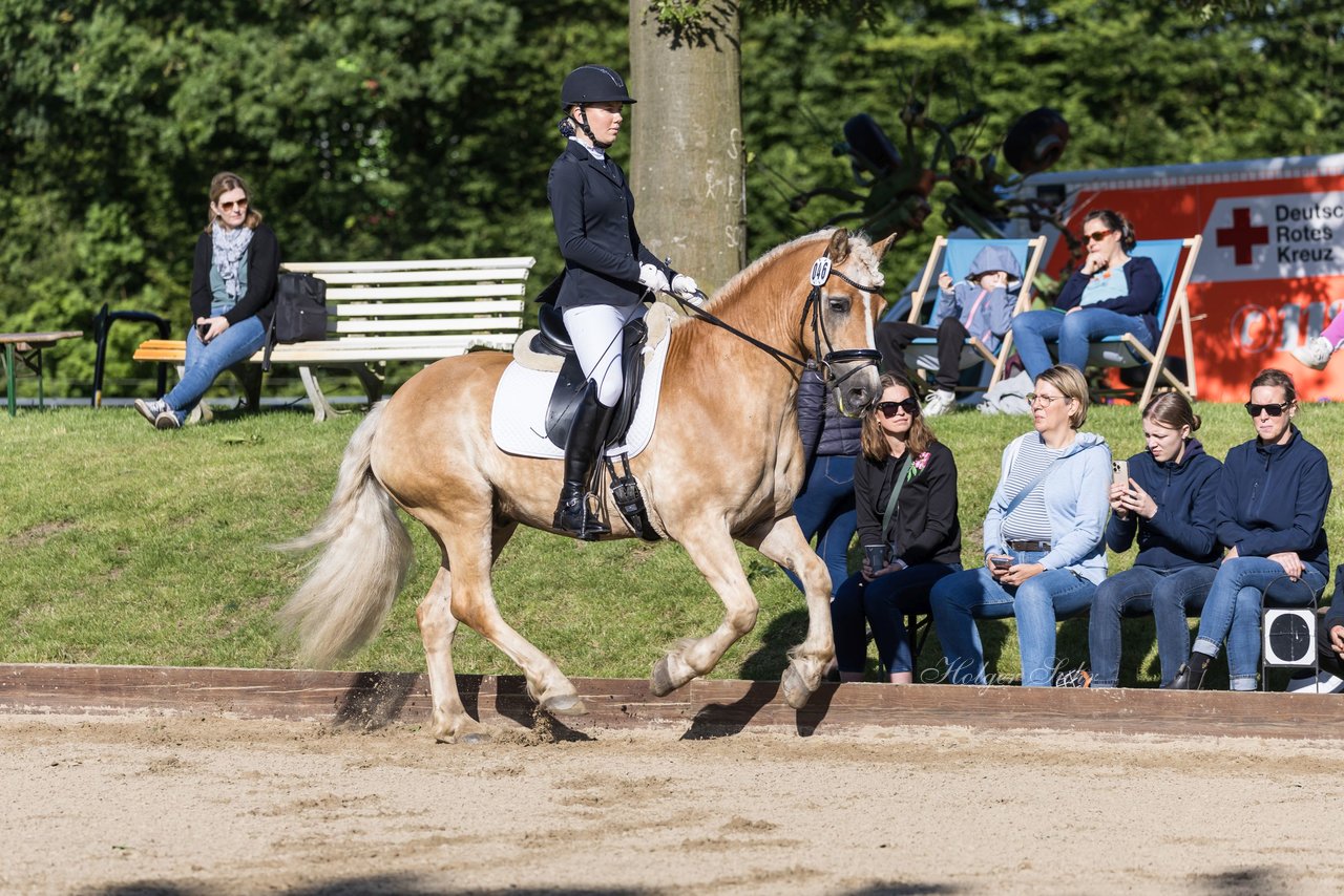 Bild 151 - Pony Akademie Turnier